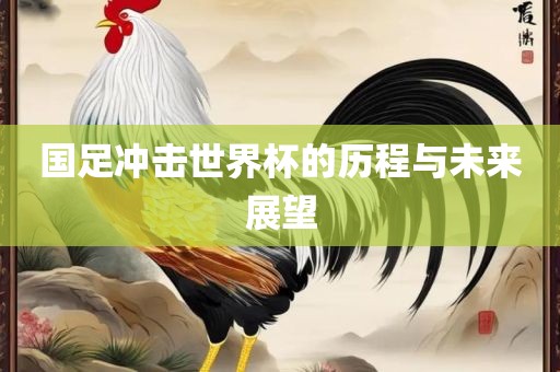 国足冲击世界杯的历程与未来展望