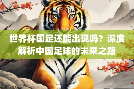 世界杯国足还能出现吗？深度解析中国足球的未来之路