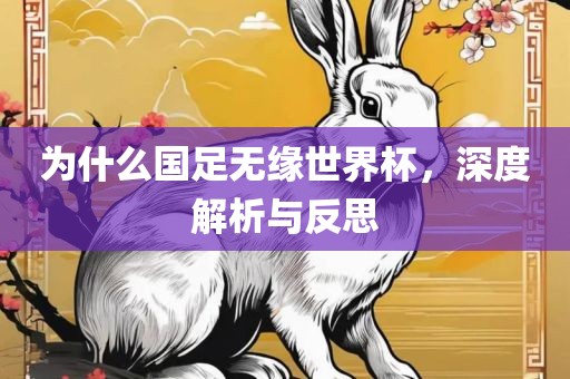 为什么国足无缘世界杯，深度广西贺州市华昌新材料有限公司解析与反思