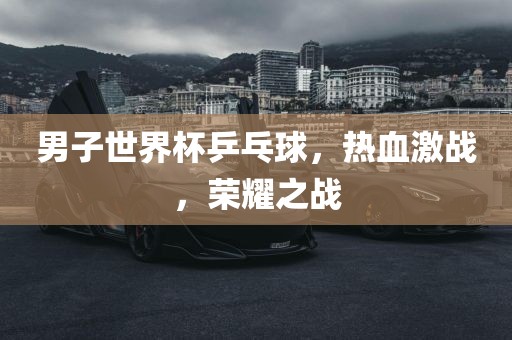 男子世界杯乒乓球，热血激战，广西贺州市华昌新材料有限公司荣耀之战