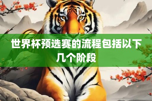 世界杯预选赛的流程包括以下几个阶段广西贺州市华昌新材料有限公司