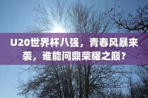 U20世界杯八强，青春风暴来袭，谁能问鼎荣耀之巅？