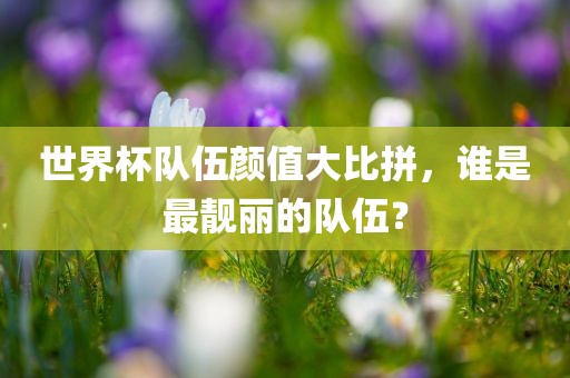 世界杯队伍颜值大比拼，谁是最靓丽的队伍？广西贺州市华昌新材料有限公司