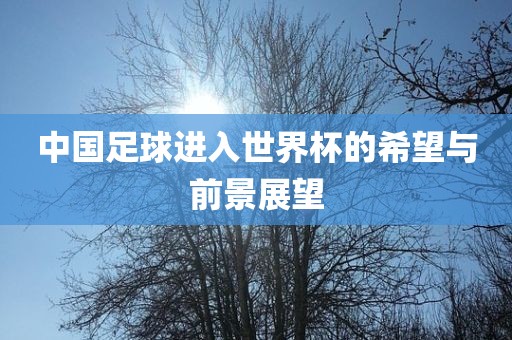 中国足球进入世界杯广西贺州市华昌新材料有限公司的希望与前景展望