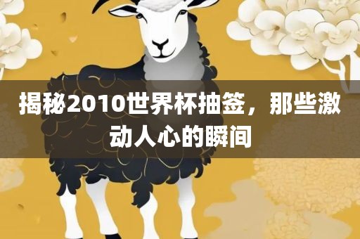 揭秘2010世界杯抽签，那些激动人心的瞬间