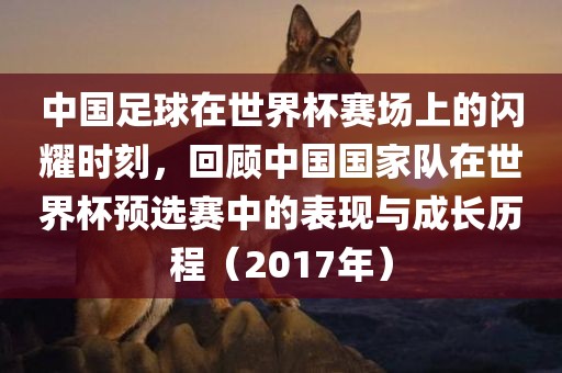 中国足球在世界杯赛场上的闪耀时刻，回顾中国国家队在世界杯预选赛中的表现与成长历程（2017年）广西贺州市华昌新材料有限公司