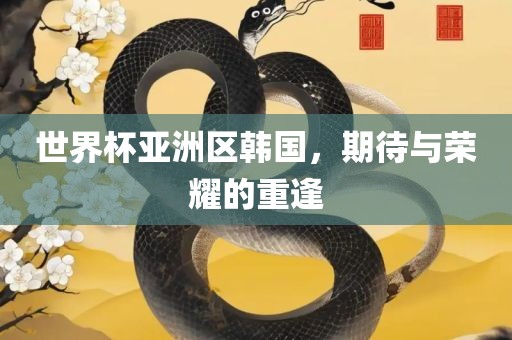 世界杯亚洲区韩国，期待与荣耀的重逢