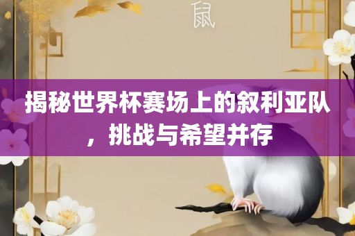 揭秘世界杯赛场上的叙利亚队，挑战与希望并存