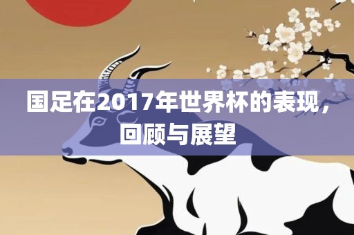 国足在2017年世界杯的表现，回顾与展望