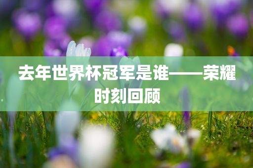 去年世界杯冠军是谁——荣耀时刻回顾广西贺州市华昌新材料有限公司