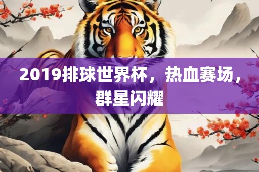 2019排球世界杯，热血赛场，群星闪耀广西贺州市华昌新材料有限公司