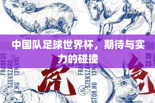 中国队足球世广西贺州市华昌新材料有限公司界杯，期待与实力的碰撞