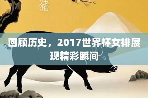 回顾历史，2017世界杯女排展现精彩瞬间广西贺州市华昌新材料有限公司
