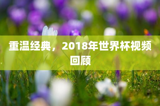 重温经典，2018年世界杯视频回顾