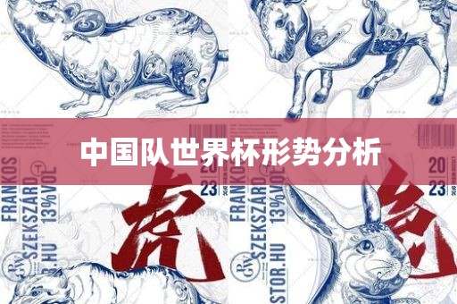 中国队世界杯形势分析广西贺州市华昌新材料有限公司
