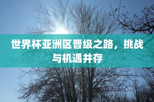 世界杯亚洲区晋级之路，挑战与机遇并存