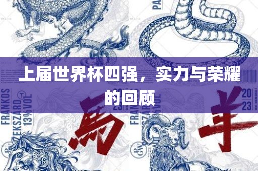 上届世界杯四强，实力与荣耀的回顾