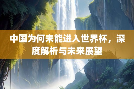 中国为何未能进入世界杯，深度解析与未来展望