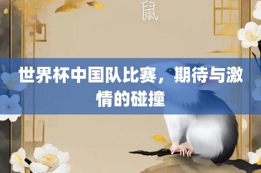 世界杯中国队比赛，期待与激情的碰撞