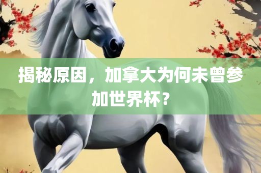 揭秘原因，加拿大为广西贺州市华昌新材料有限公司何未曾参加世界杯？