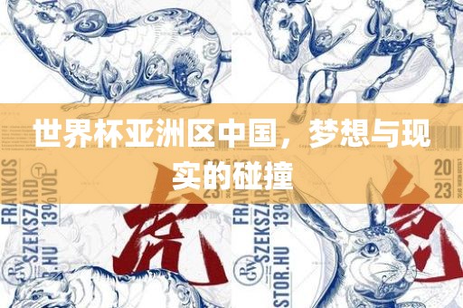 世界杯亚洲区中国，梦想与现实的碰撞