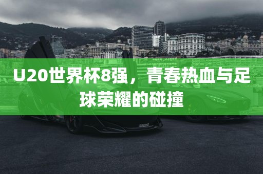 U20世界杯8强，青春热血与足球荣耀的碰撞