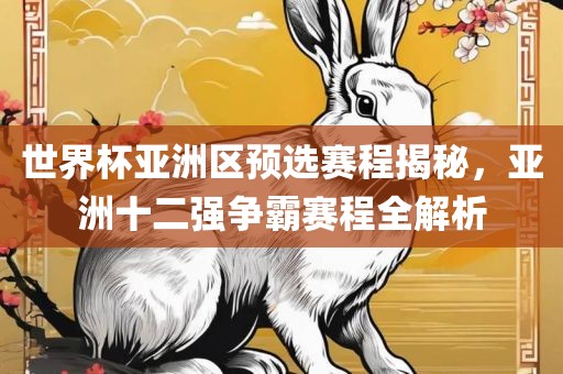 世界杯亚洲区预选赛程揭秘，亚洲十二强争霸赛程全解析