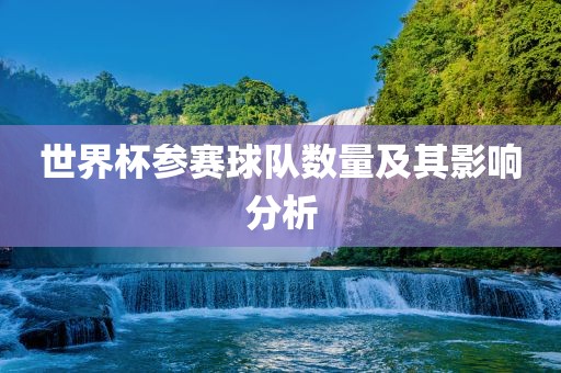 世界杯参赛球队数量及其影响分析广西贺州市华昌新材料有限公司