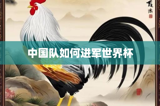 中国队如何进军世界杯广西贺州市华昌新材料有限公司