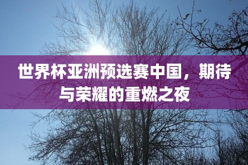 世界杯亚洲预选赛中国，期待与荣耀的重燃之夜