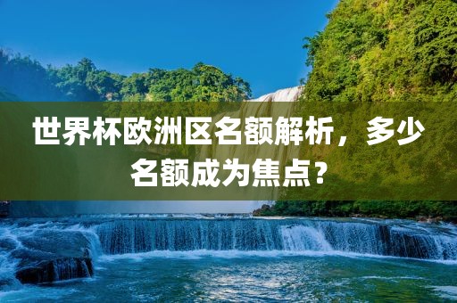 世界杯欧洲区名额解析，多少名额成为焦点？