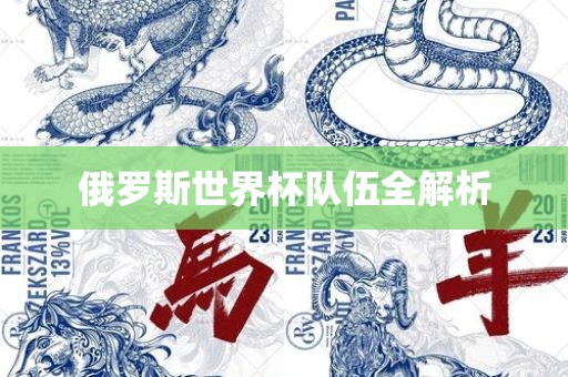 俄罗斯世界杯队伍全解析