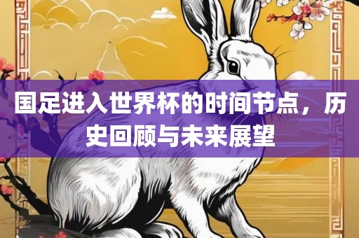 国足进入世界杯的时间节点，历史回顾与未来展望