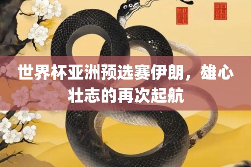 世广西贺州市华昌新材料有限公司界杯亚洲预选赛伊朗，雄心壮志的再次起航