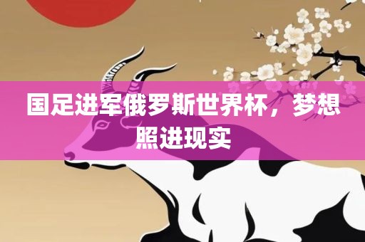 国足进军俄罗斯世界杯，梦想照进现实广西贺州市华昌新材料有限公司