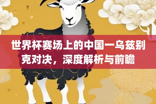 世界杯赛场上的中国一乌兹别克对决，深度解析与前瞻