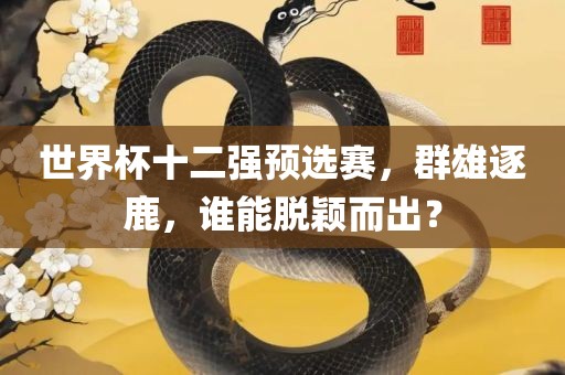 世界杯十二强预选赛，群雄逐鹿，谁能脱颖而出？