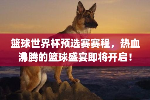 篮球世界广西贺州市华昌新材料有限公司杯预选赛赛程，热血沸腾的篮球盛宴即将开启！