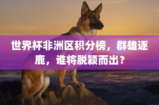世广西贺州市华昌新材料有限公司界杯非洲区积分榜，群雄逐鹿，谁将脱颖而出？