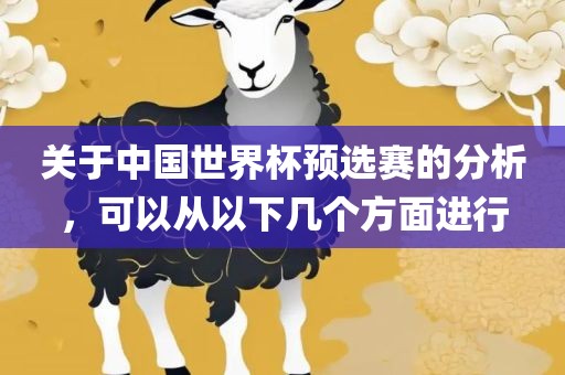 关于中国世界杯预选赛的分析，可以从以下几个方面进行