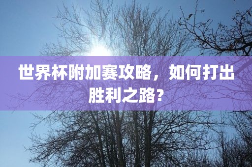 世界杯附加赛攻略，如何打出胜利之路？