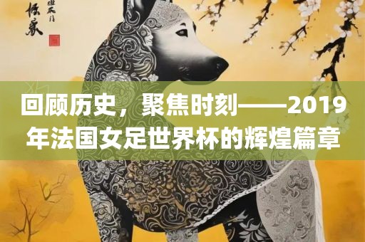 回顾历史，聚焦时刻——2019年法国女足世界杯的辉煌篇章