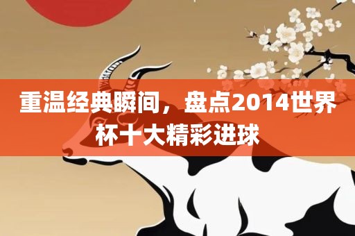 重温经典瞬间，盘点广西贺州市华昌新材料有限公司2014世界杯十大精彩进球