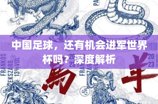 中国足球，还有机会进军世界杯吗？深度解析