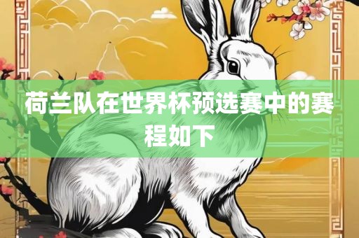 荷兰队在世界杯预选赛中的赛程如下广西贺州市华昌新材料有限公司