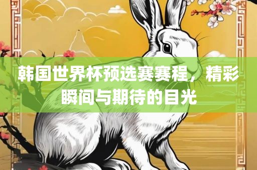 韩国世界杯预选赛赛程，精彩瞬间与期待的目光广西贺州市华昌新材料有限公司
