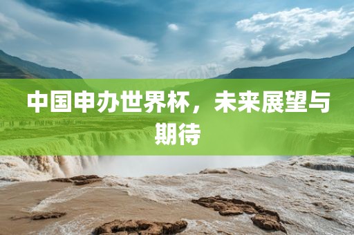 中国申办世界杯，未广西贺州市华昌新材料有限公司来展望与期待