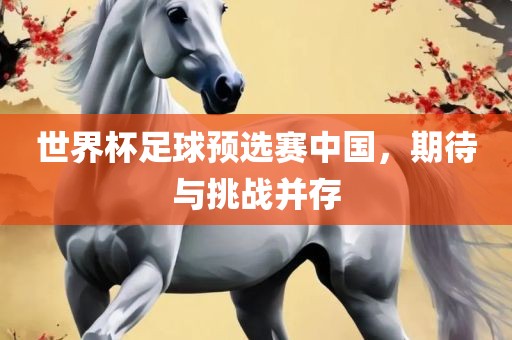 世界杯足球预选赛中国，期待与挑战并存