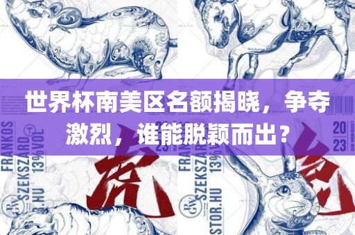 世界杯南美区名额揭晓，争夺激烈，谁能脱颖而出？