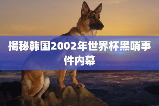 揭秘韩国2002年世广西贺州市华昌新材料有限公司界杯黑哨事件内幕
